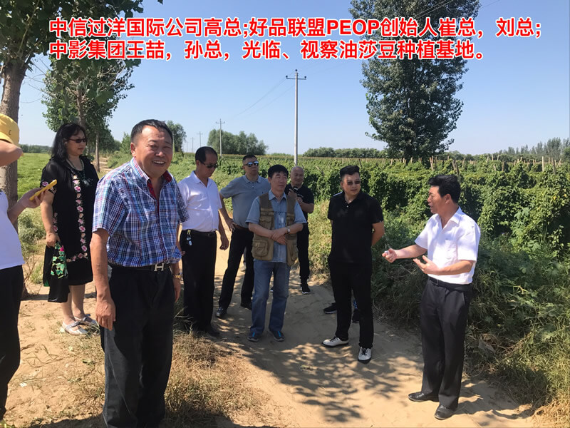 中信過洋國際公司高總；好品聯盟PEOP創始人崔總，劉總；中影集團王喆、孫總，光臨、視察油莎豆種植基地。