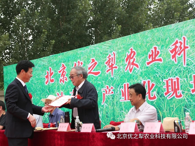 油莎豆產(chǎn)業(yè)化現(xiàn)場(chǎng)會(huì)在河北新樂召開