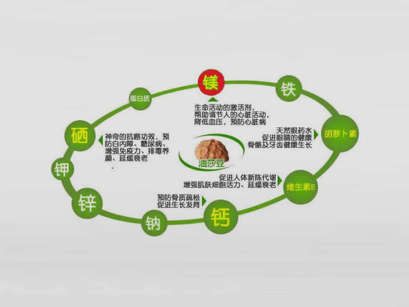 油莎豆的八種神奇功效